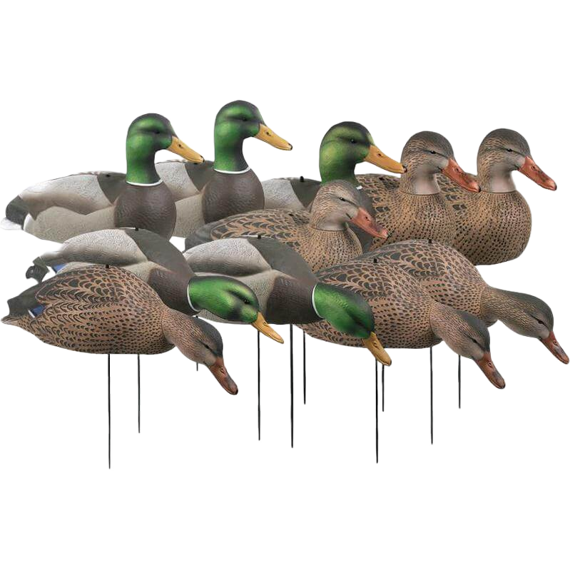GHG Over-Size Shell Mallard Duck Decoys 12-Pack | Bass Pro Shops
